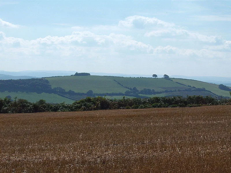 Raddon Top