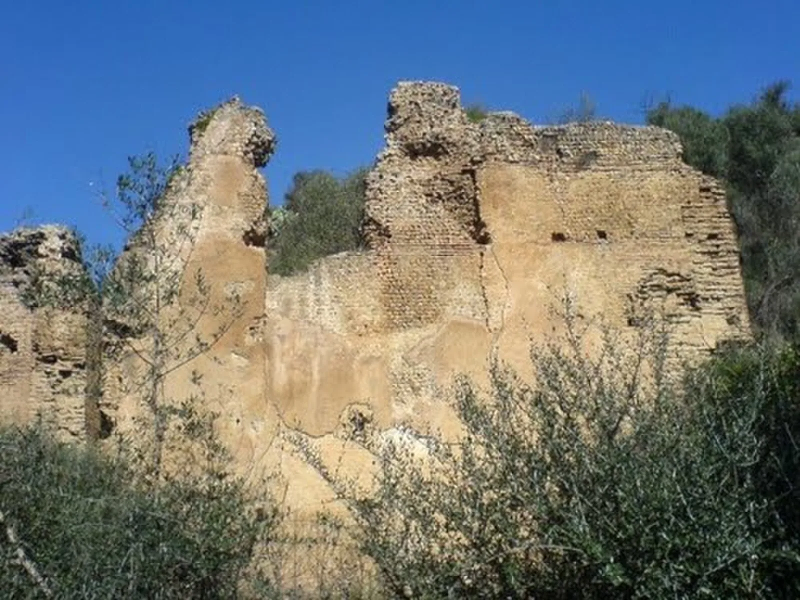 Site de Tiklat