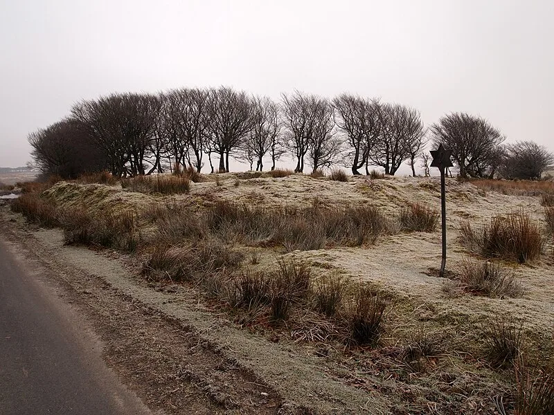 Alderman's Barrow