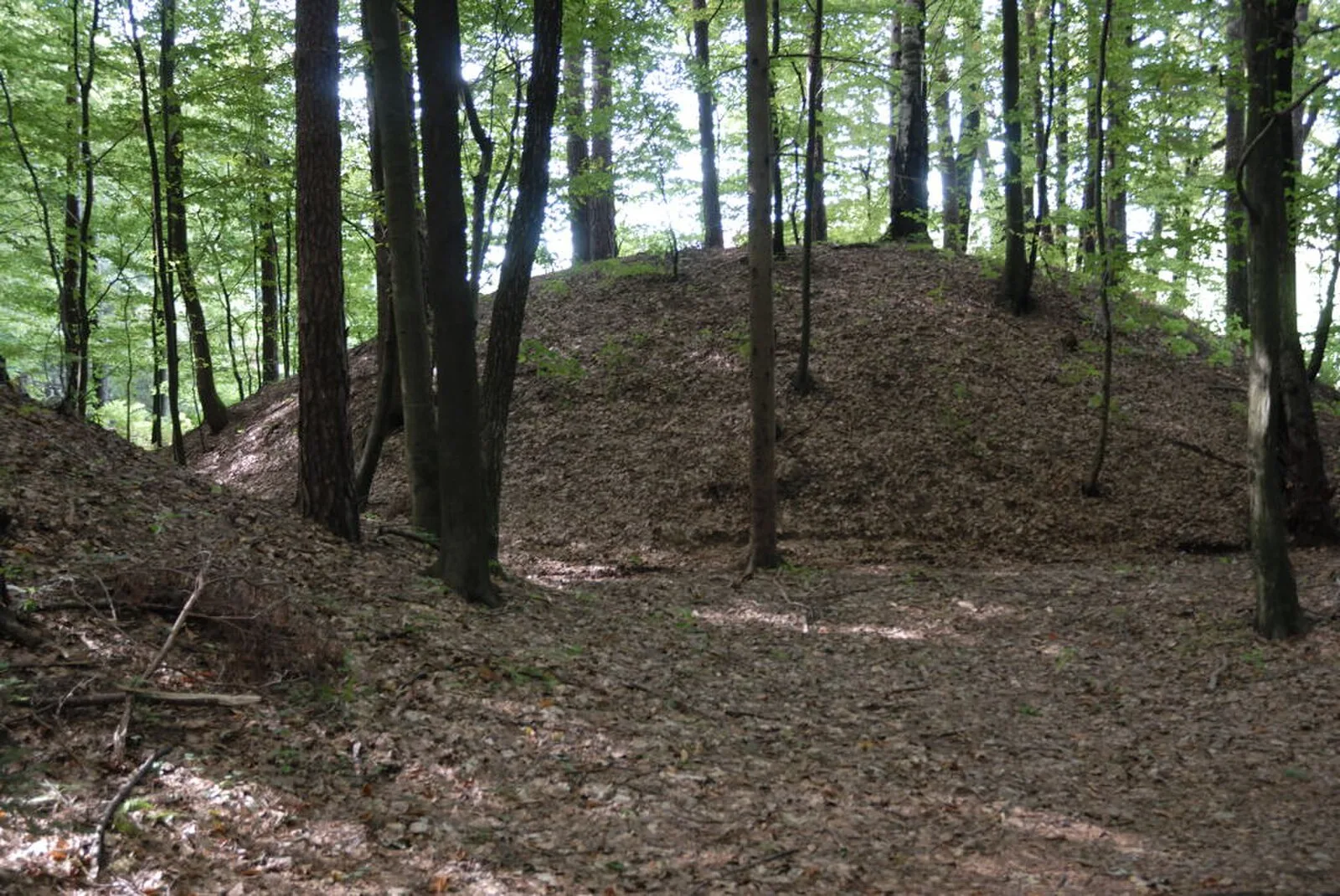 Burgstallkogel, Sulm Valley