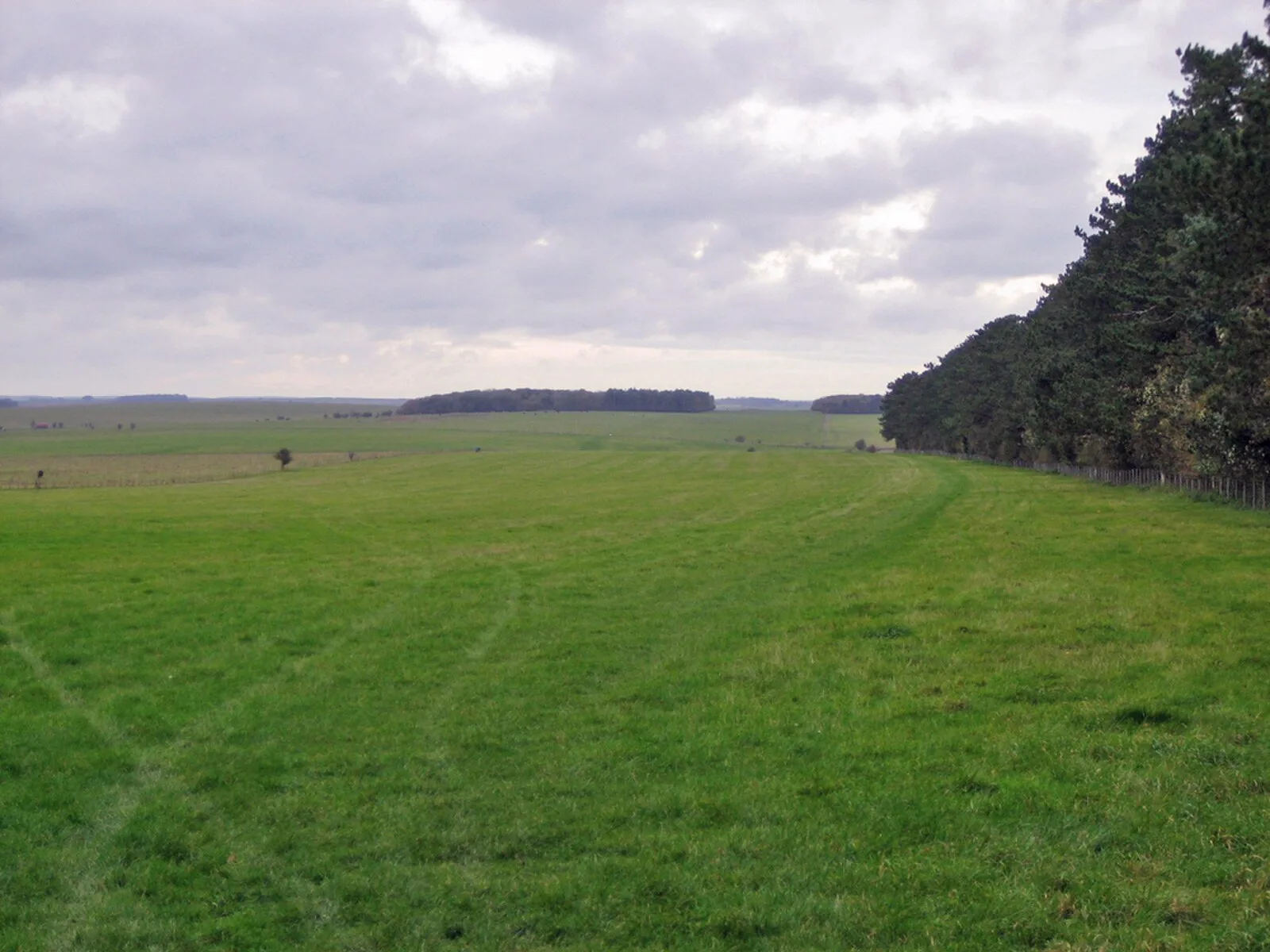 Stonehenge Cursus