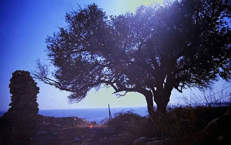 Ancient Amathunta