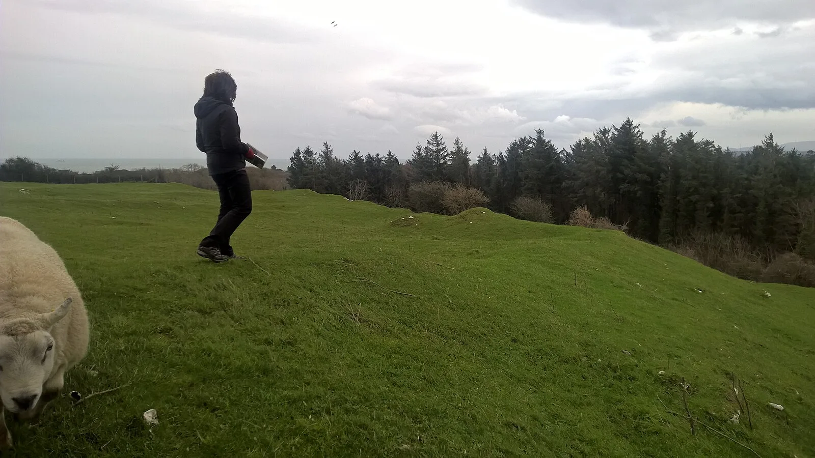 Parciau Hill Fort