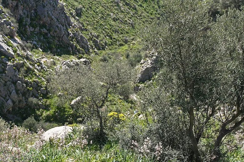 Mycenae