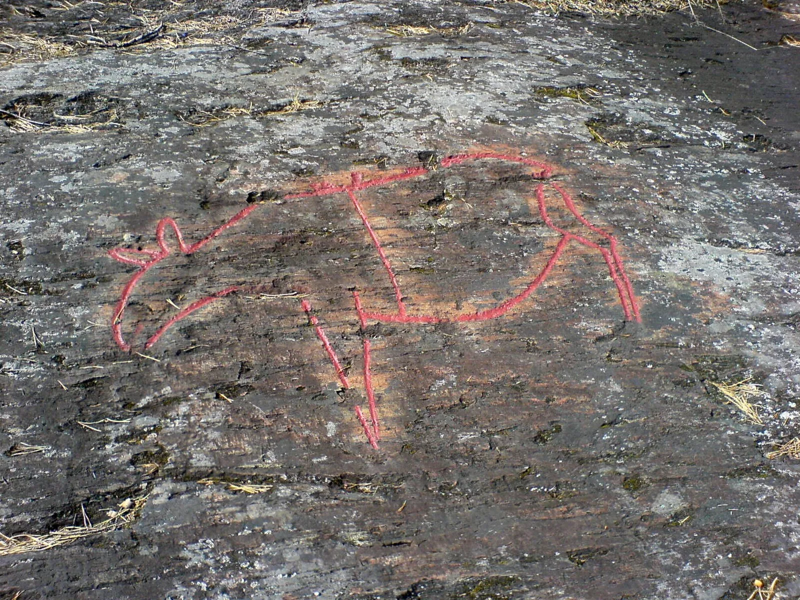 Gärde