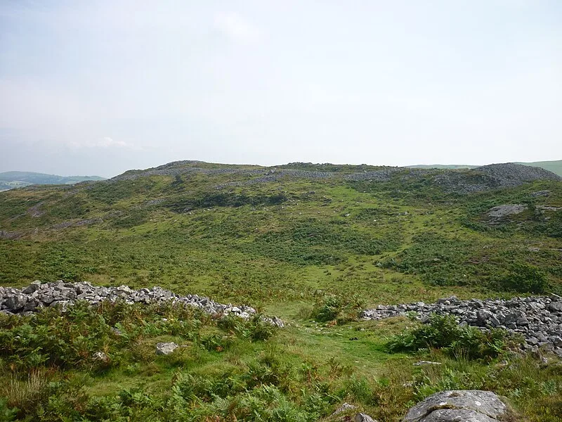 Y Garn Goch