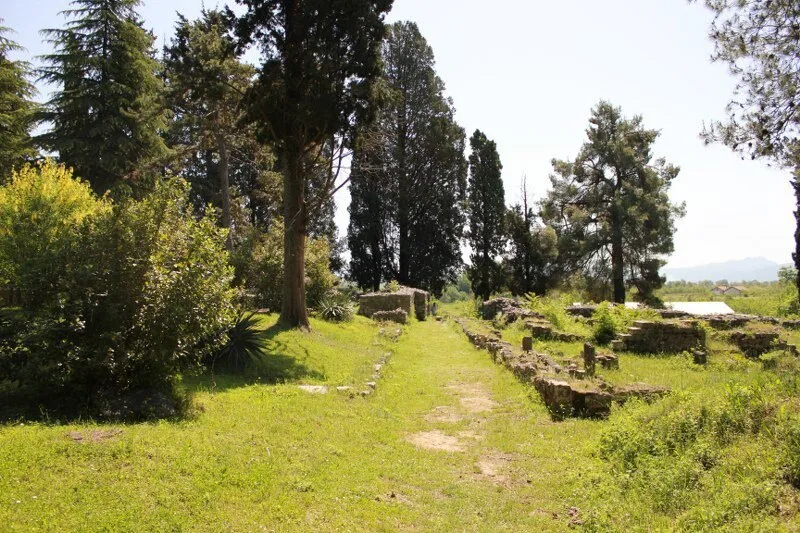 Mogorjelo