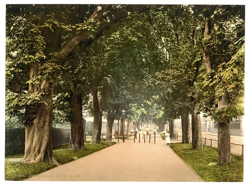 Town Walks, Dorchester