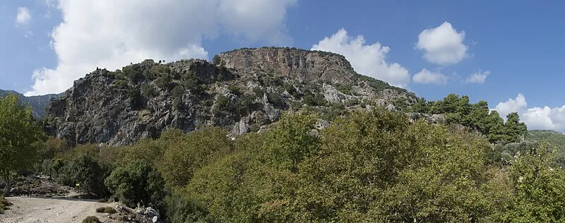 Pinara