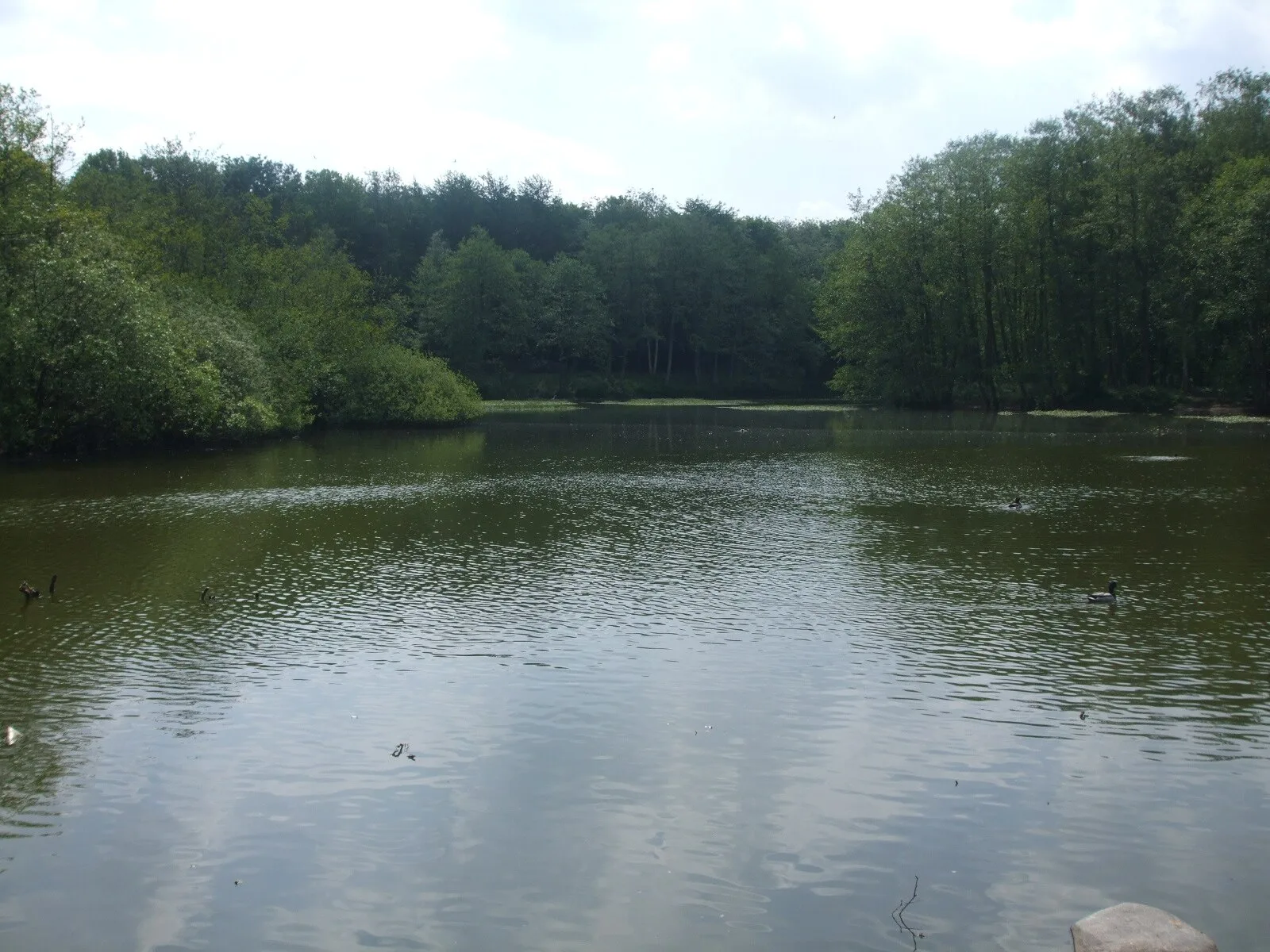 Thorsberg Moor