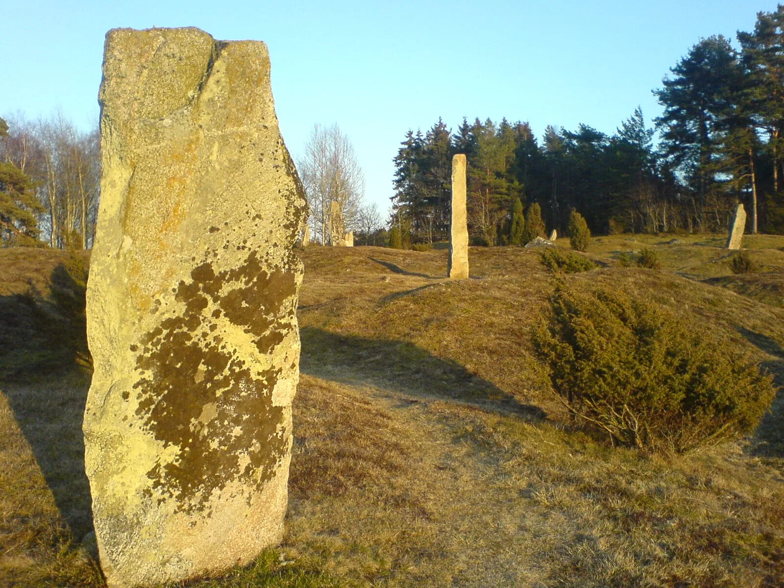 Greby Grave Field