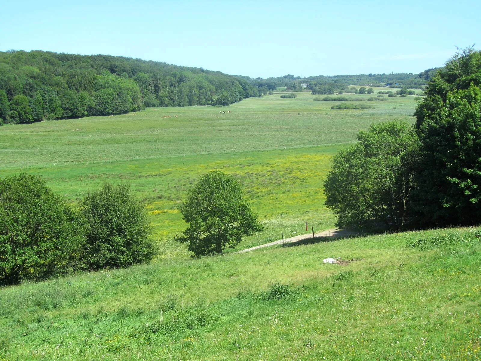 Illerup Ådal