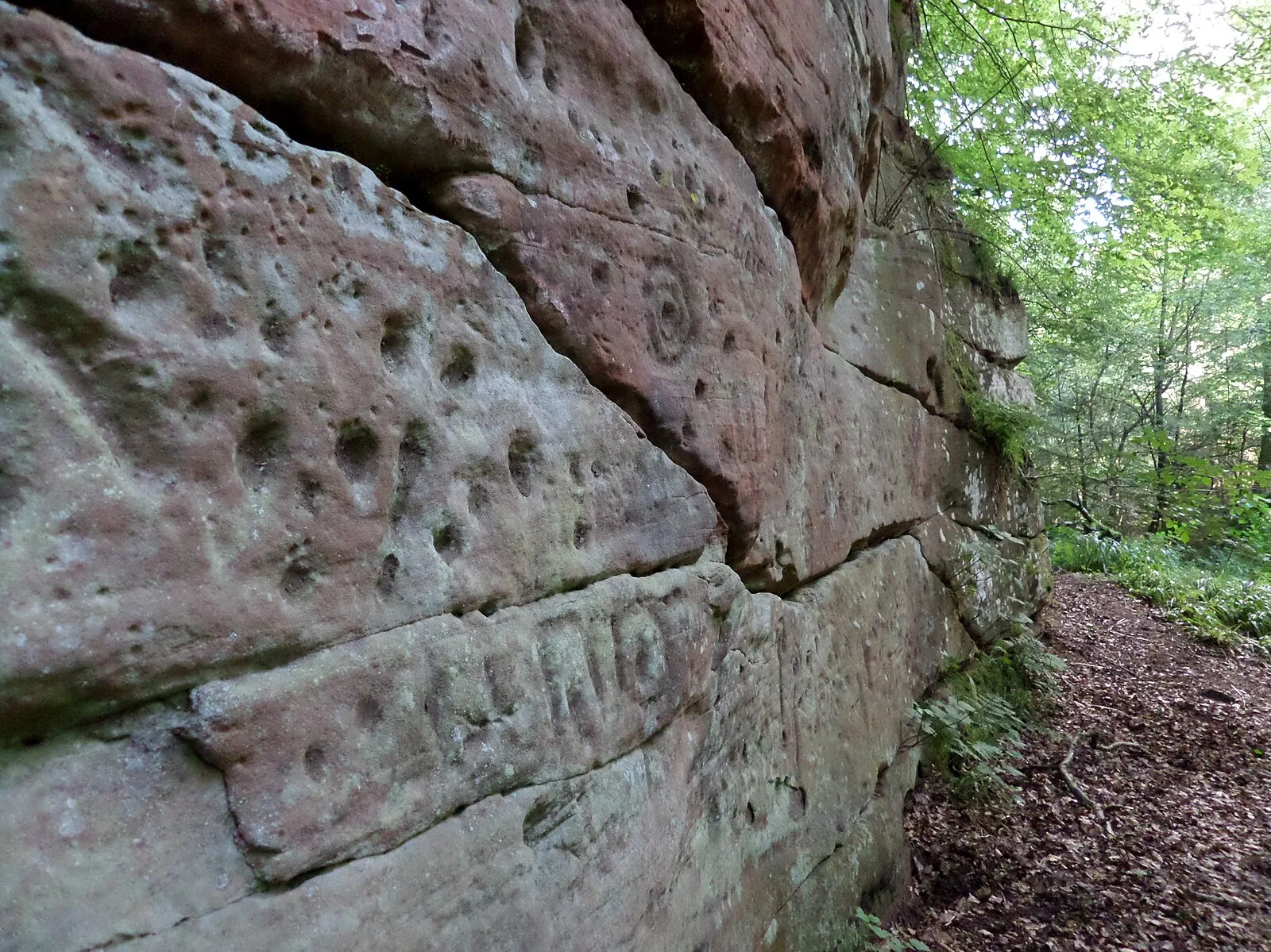 Ballochmyle Cup and Ring marks
