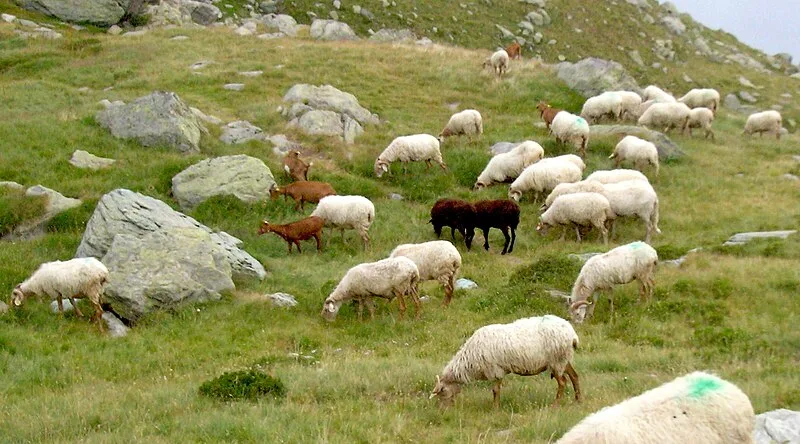 Vallée des Merveilles