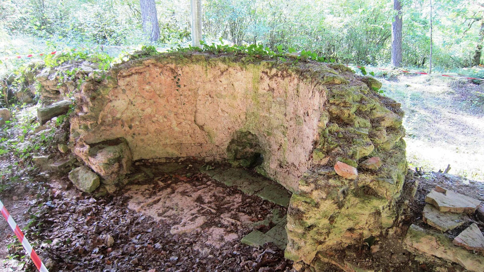 Vertillum
