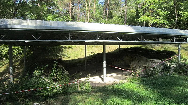 Vertillum