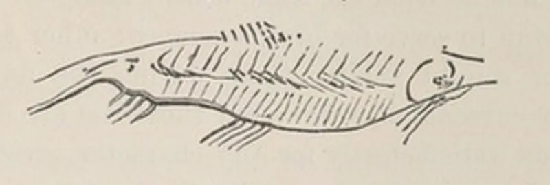 Laugerie-Basse
