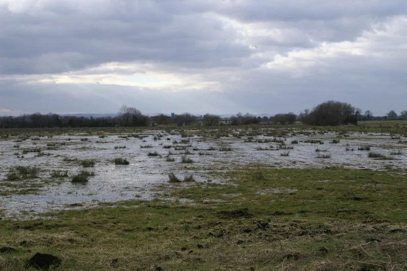 Compton Dundon