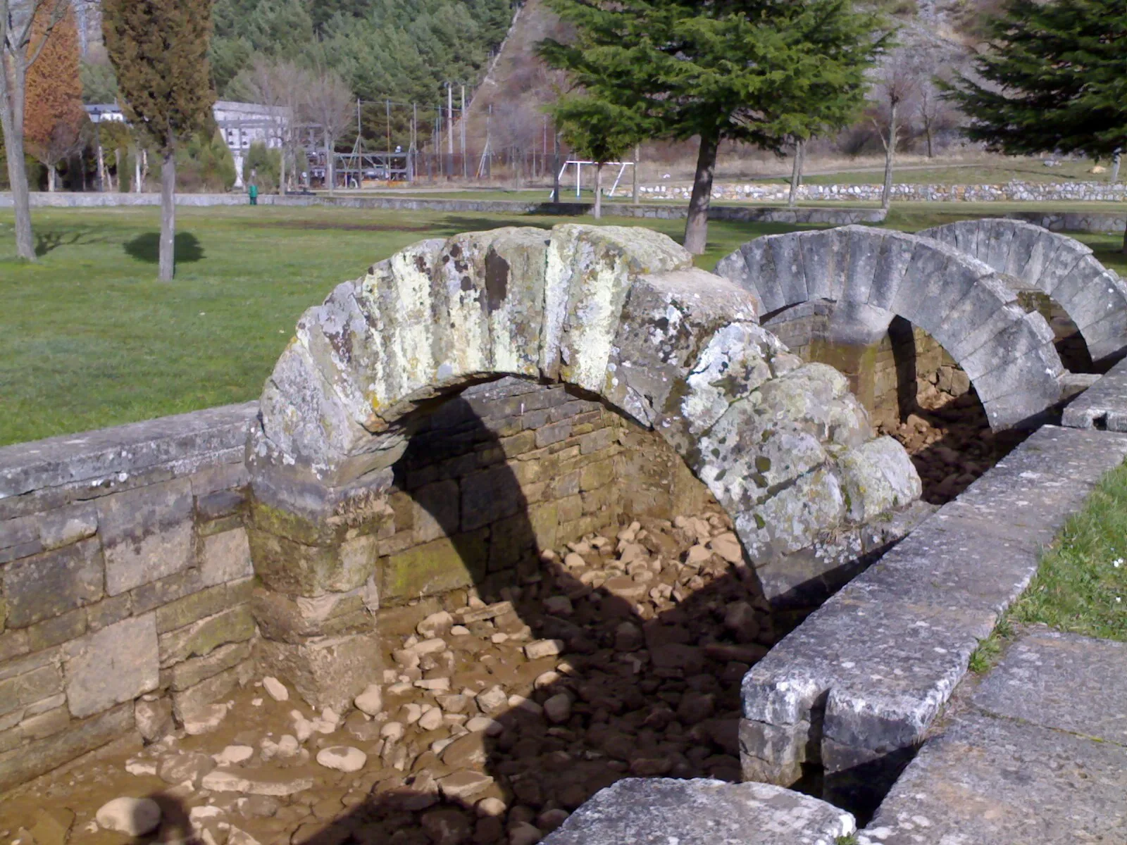 Fontes Tamarici