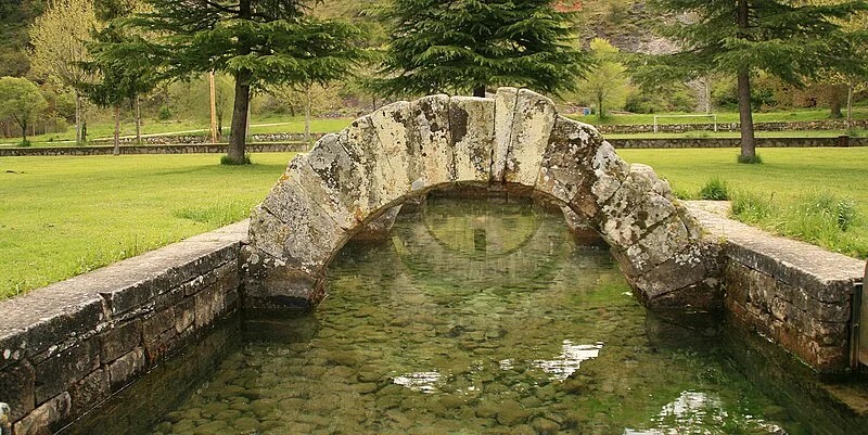 Fontes Tamarici