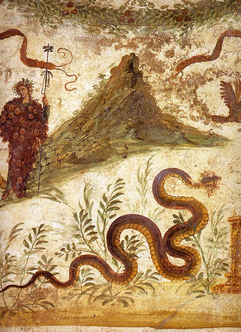 House of the Centenary, Pompeii