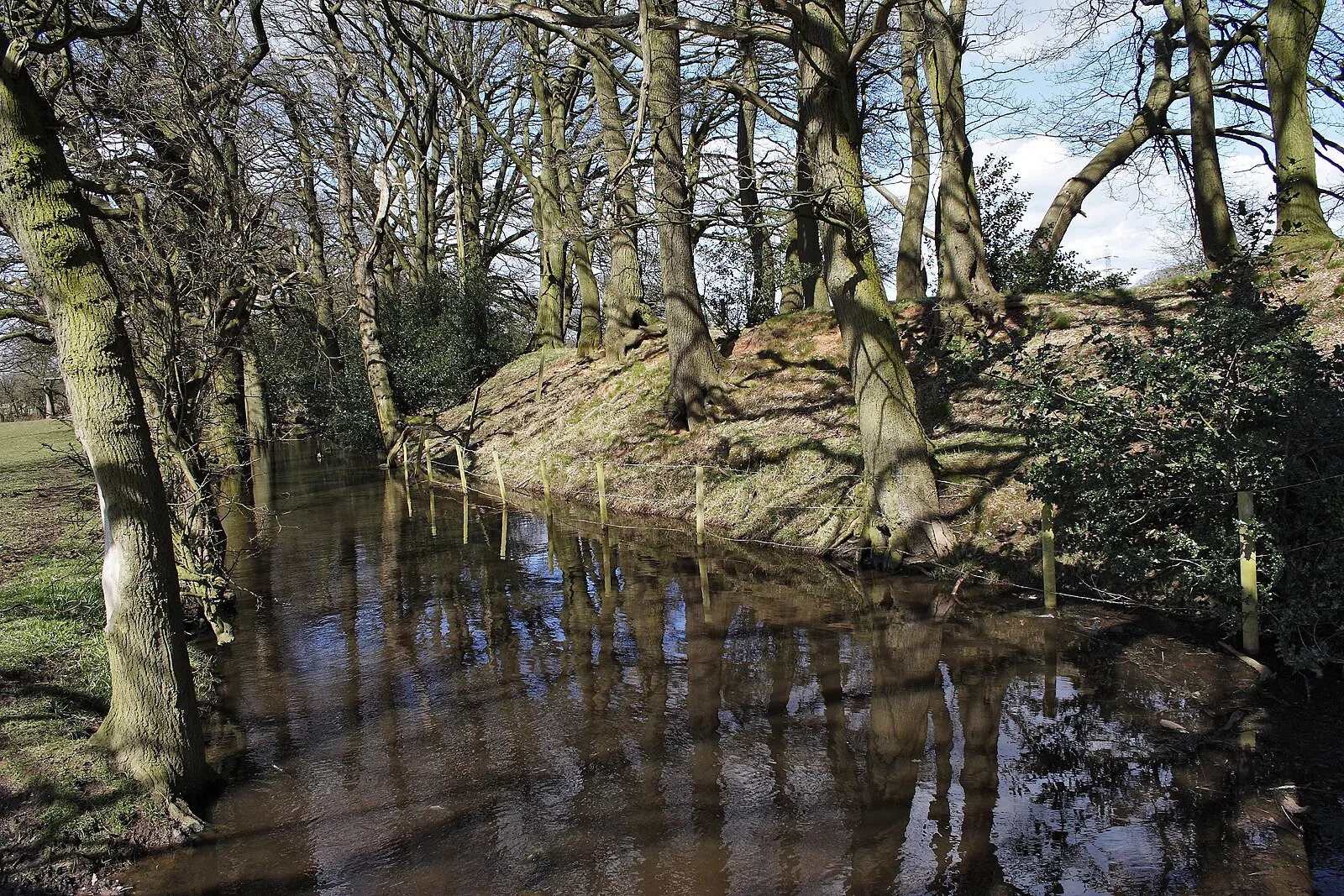 Berry Mound