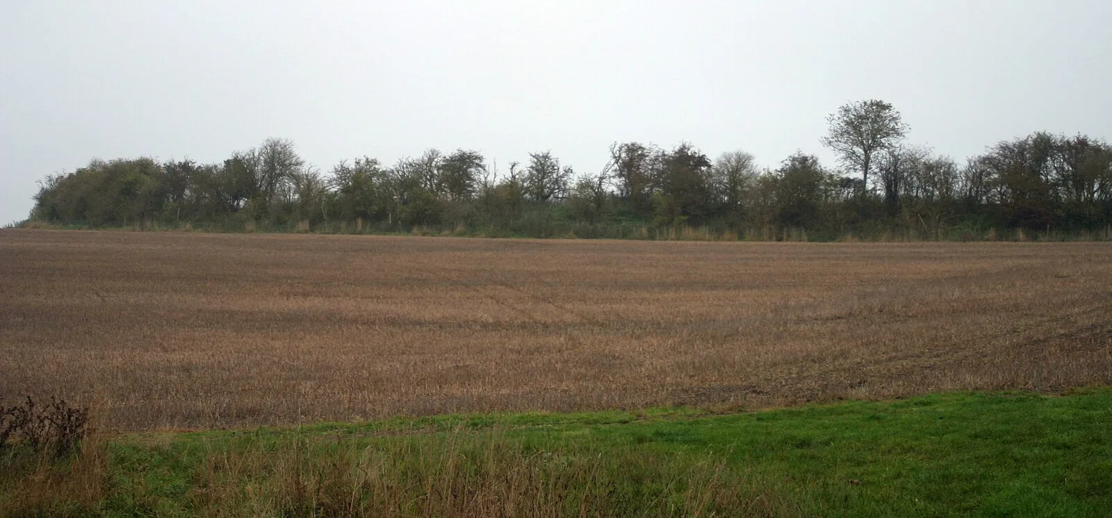 Arbury Banks, Hertfordshire