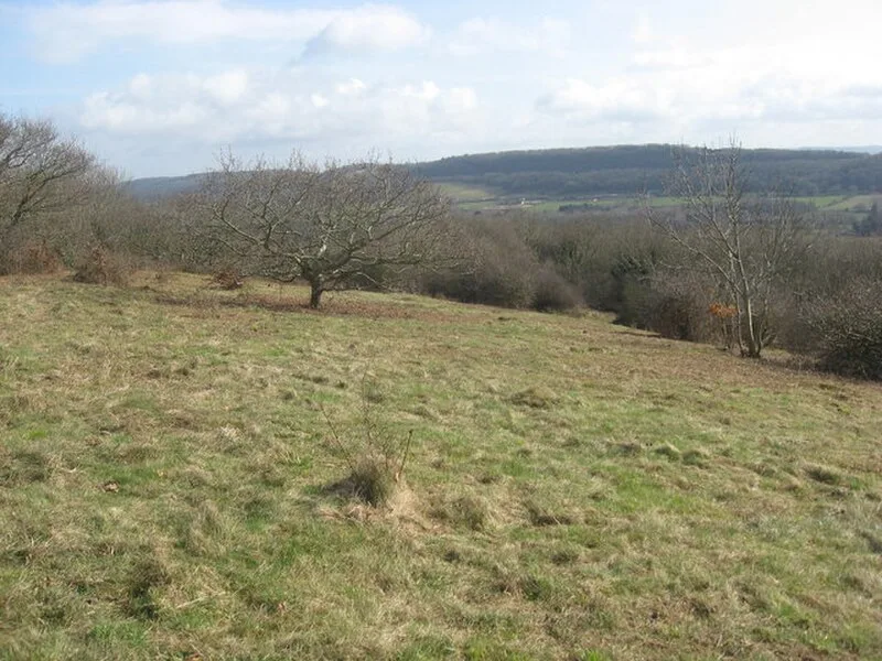 Walton Common