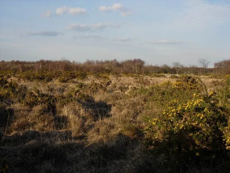 Hamble Common Camp