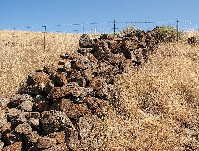 East Bay Walls
