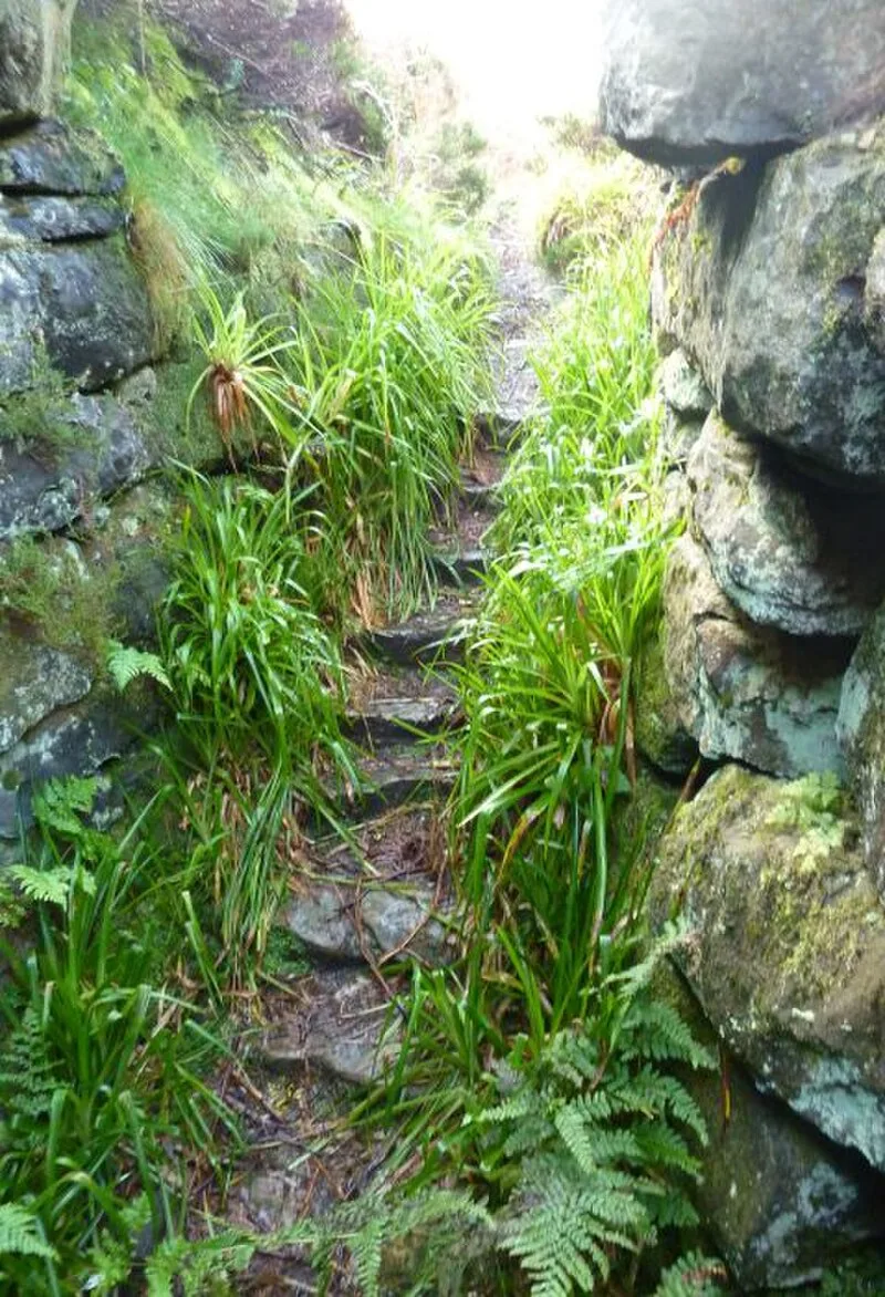 Tappoch Broch