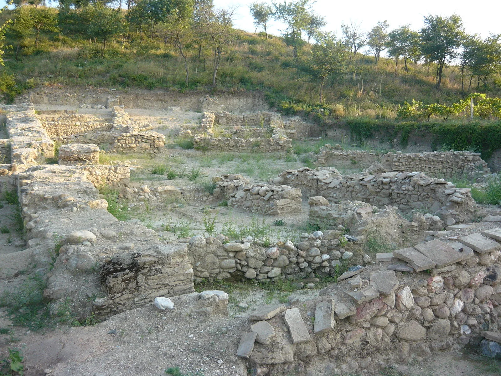 Tauresium