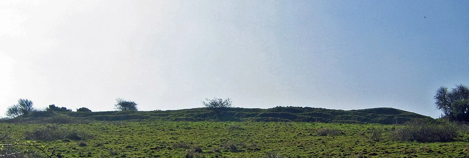 Eddisbury Hill Fort