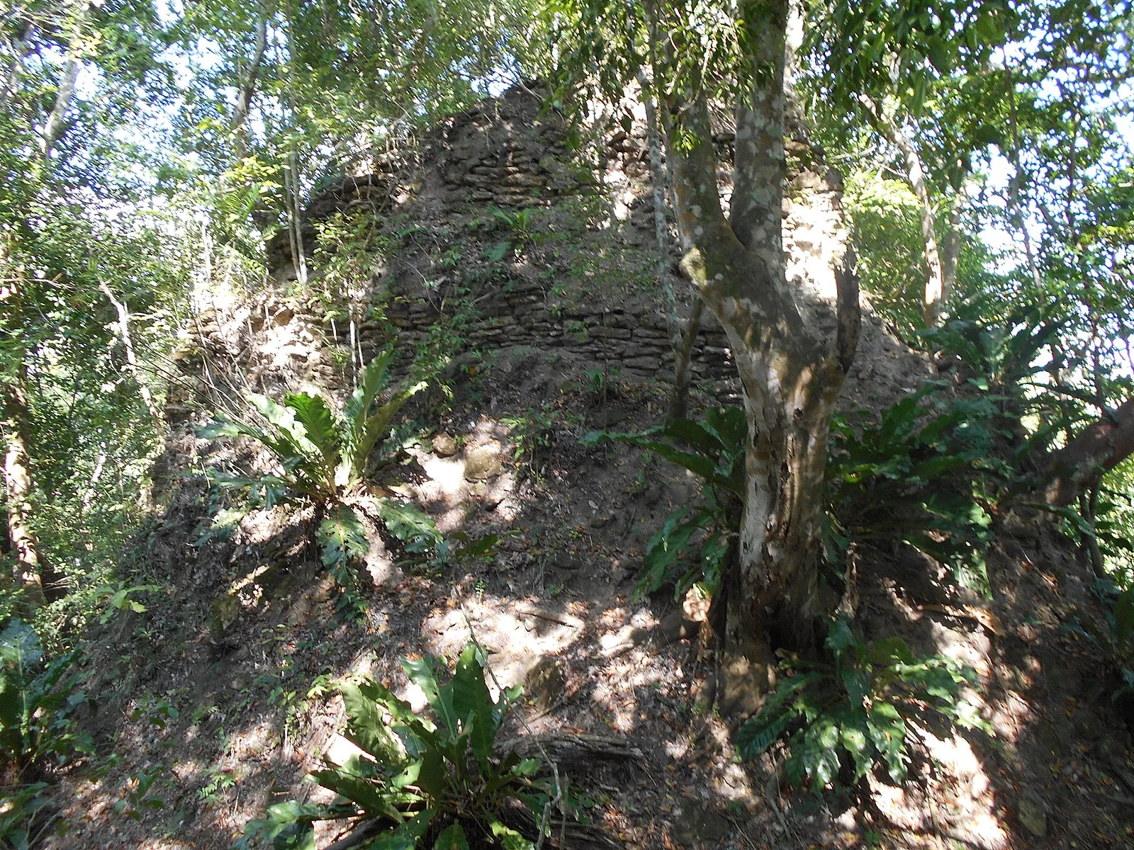 Sitio Arqueológico Motul