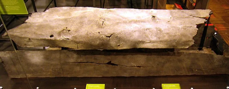 Noviomagus Reginorum