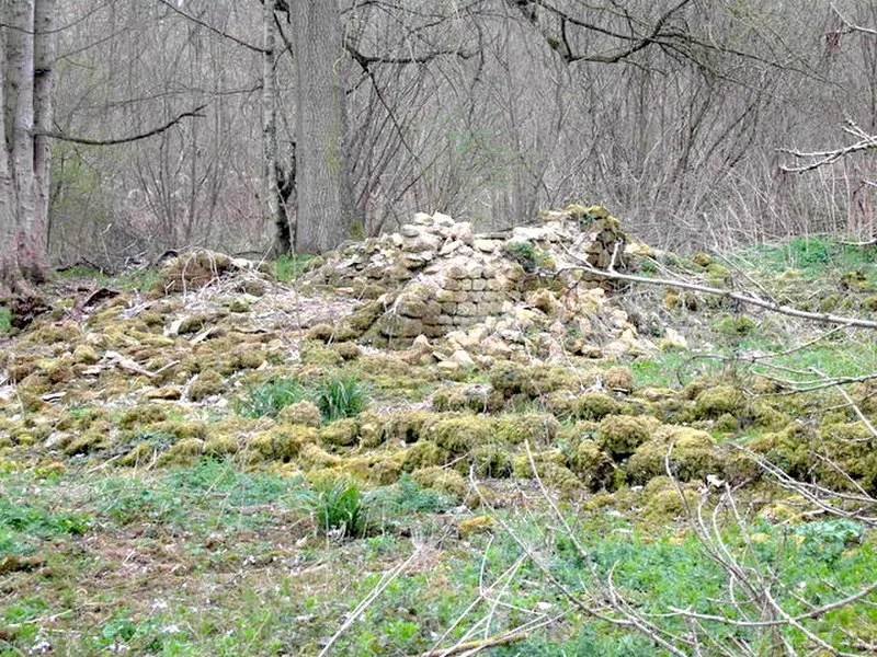 Spoonley Wood Roman Villa