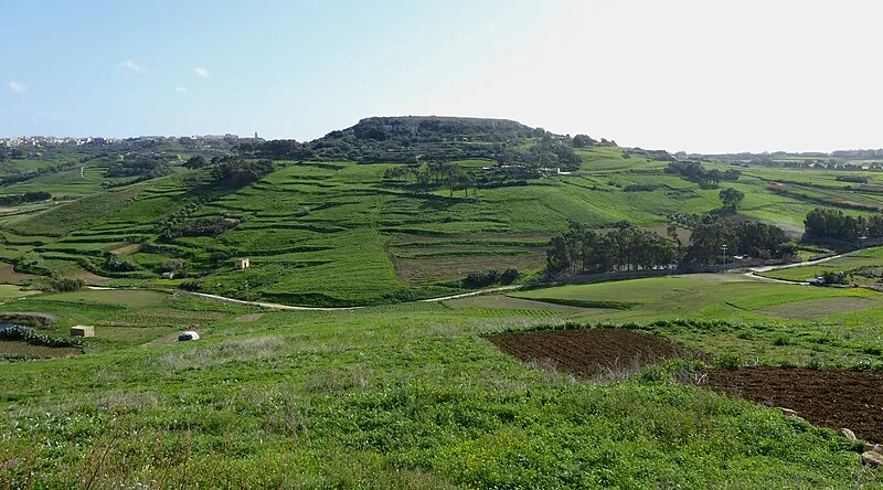 Nuffara