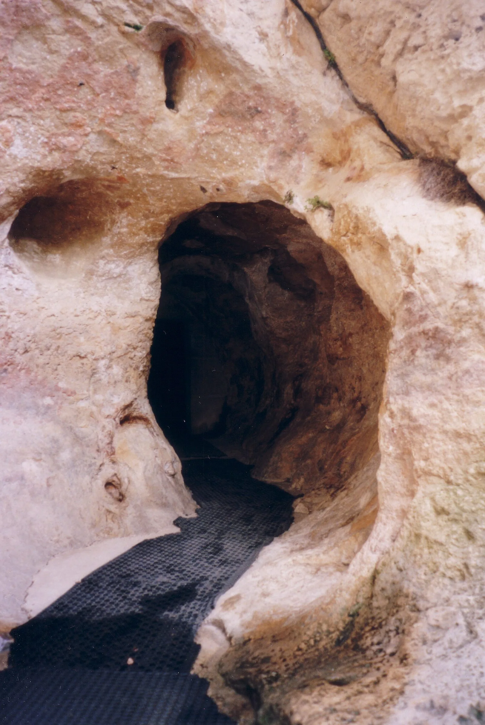 Font-de-Gaume