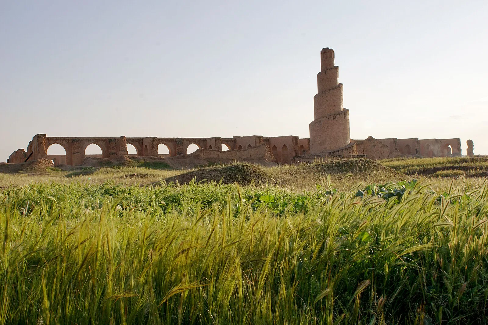 Samarra