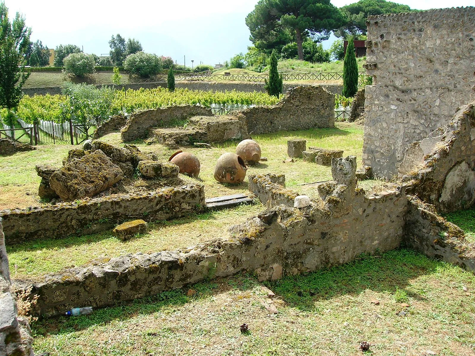 Garden of the Fugitives, Pompeii