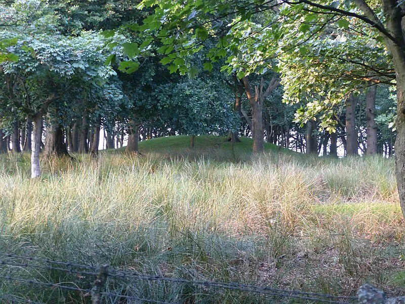 Brown Low