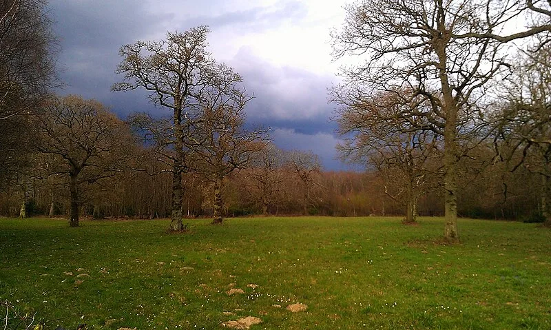Shrub's Wood Long Barrow