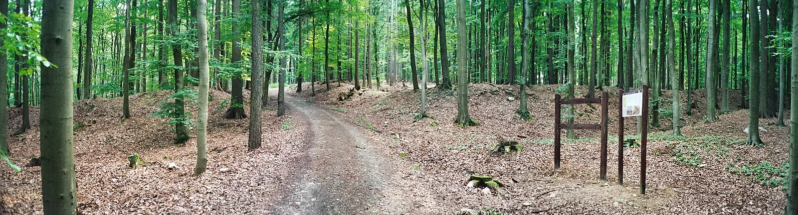 Heidetrank Oppidum