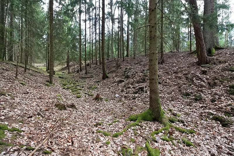 Heidetrank Oppidum