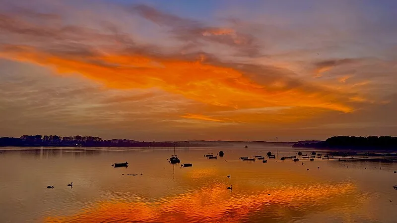 Zemun