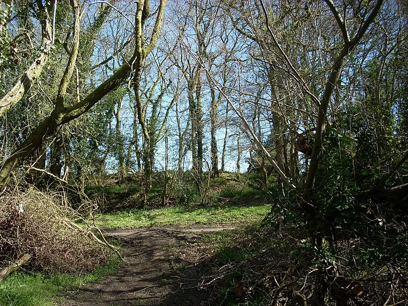 Castle Rings, Wiltshire