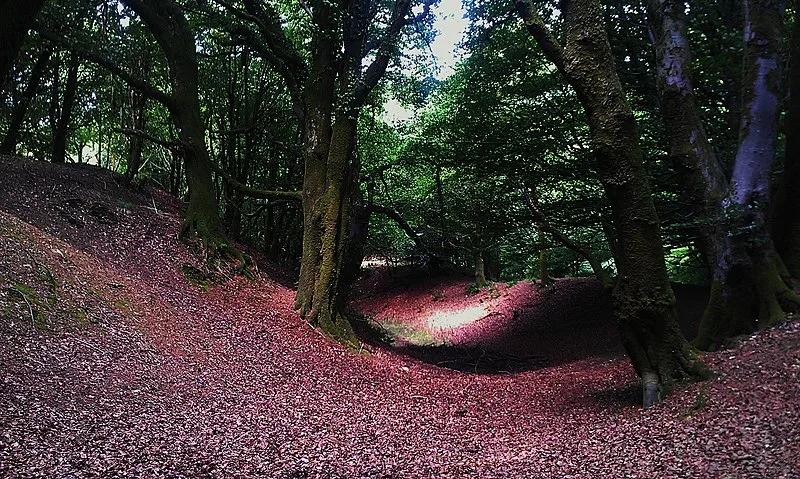 Hembury