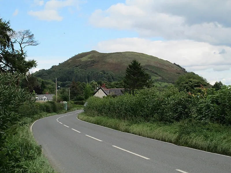 Llwyn Bryn-Dinas