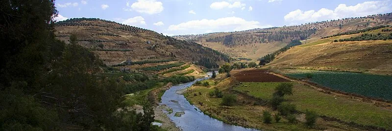 The Archaeological Site of Jerash