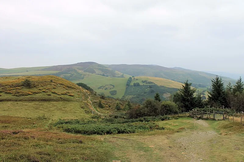 Penycloddiau